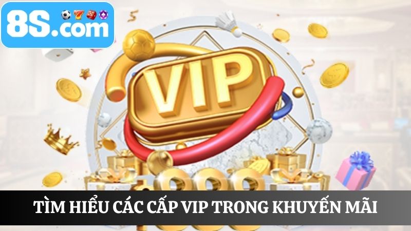 Các cấp Khuyến mãi VIP 8S