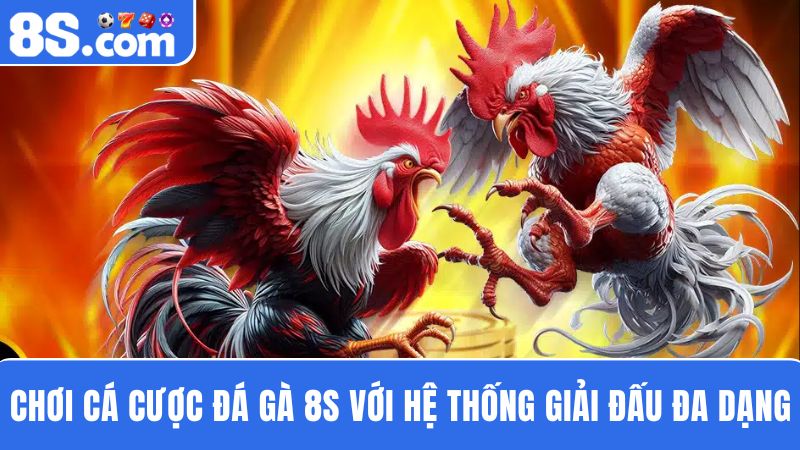 đá gà 8S hệ thống giải đấu đa dạng 