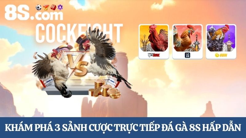 3 sảnh cược trực tiếp đá gà 8S