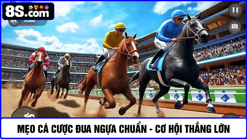  Mẹo cá cược Đua ngựa 8S