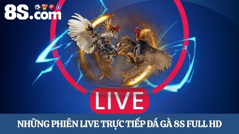 trực tiếp đá gà 8S full HD