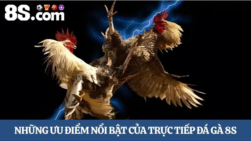 trực tiếp đá gà 8S