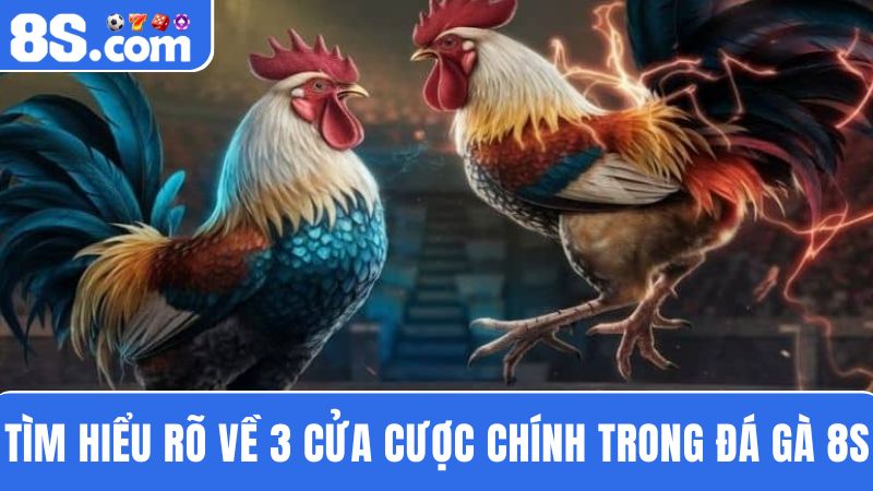 3 Cửa cược đá gà 8S